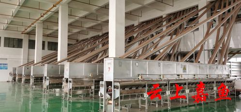 聯(lián)創(chuàng)食品產(chǎn)銷兩旺