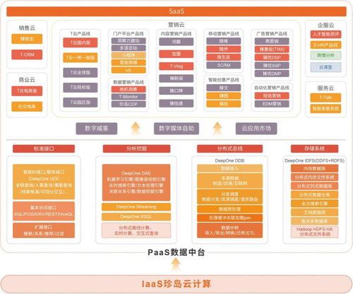 珍島Marketingforce五朵云 科技中介服務(wù)驅(qū)動企業(yè)數(shù)字化轉(zhuǎn)型騰飛